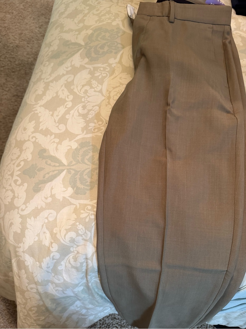 Haggar Men's Dress Pants in Taupe